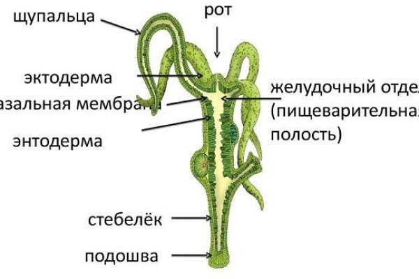 Mega ссылка для тор